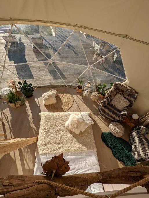 Hotel Beautiful Located Dome Wapnica  Exterior foto